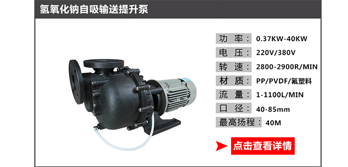 氫氧化鈉輸送提升泵圖片