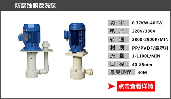 防腐蝕膜反洗泵